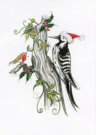 Xmas Woodpecker and Robin. A copyrighted greetings card image by British Illustrator Hilary Kidd